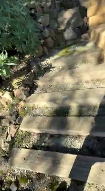 Old timber steps in the dirt