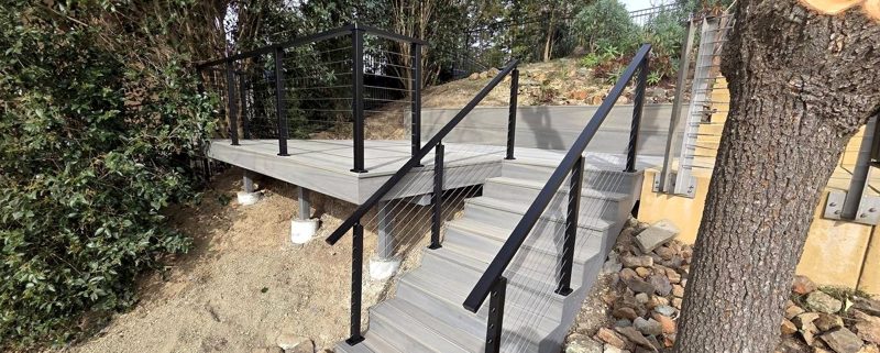 Stairs around the tree