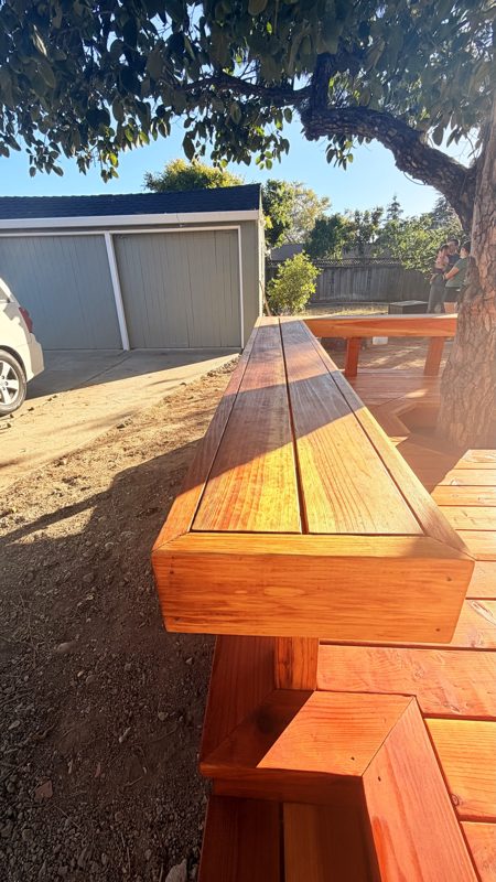 Evening light on the bench